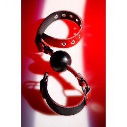 Leather gag